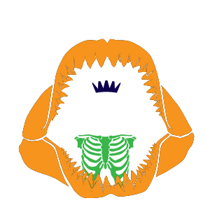 31-Dz-31's emblem