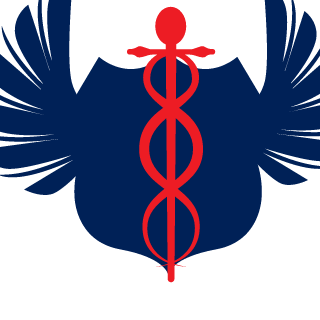 Chunky_Wizard's emblem