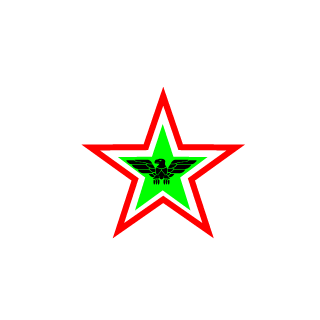 raiderrem's emblem
