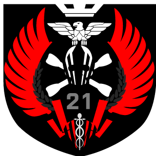 0000ViDocQ0000's emblem