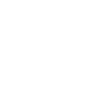 llonmejillon's emblem