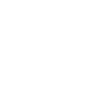 NeiroVan's emblem