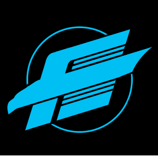 SkyzZ TeaM e-Sports's emblem