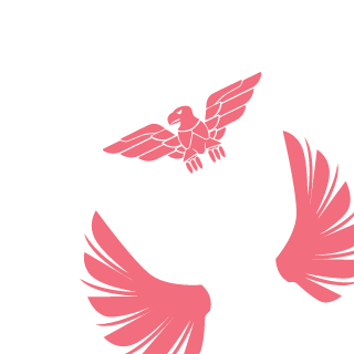Jelmer408's emblem
