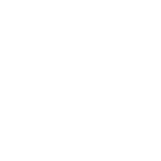 Vikare96's emblem