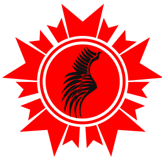 Choiix's emblem