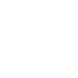 NX3RT's emblem