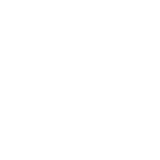 mrtrevisan's emblem