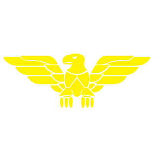 I_UAE_FALCON_I's emblem