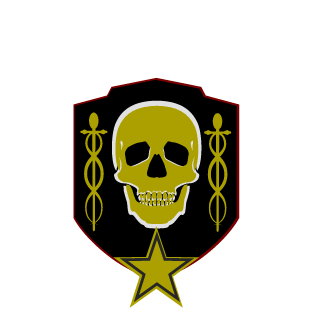 BeDaBigNinja's emblem