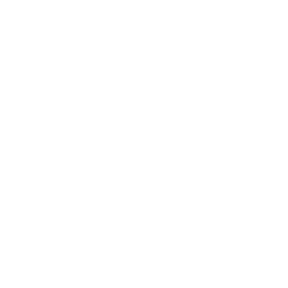 Lisfiz's emblem