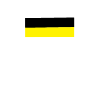 R1msky's emblem