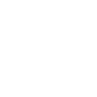 TAIFUN_T's emblem