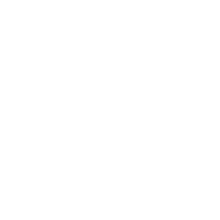 sandroaluizio's emblem