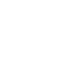 VincentVltn's emblem