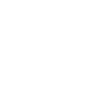 PT131313's emblem