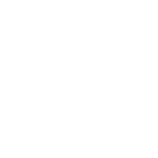 YY10006's emblem