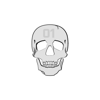VzTaintedzV's emblem