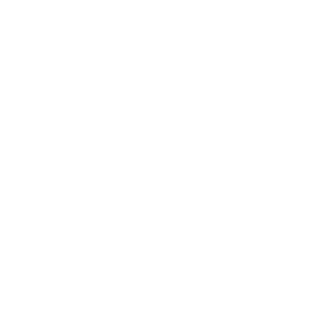 stealthops9999's emblem