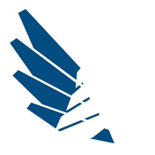 acidsamurai's emblem