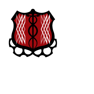 ZenithDvZ's emblem