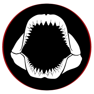 T0Y S0LDIER X's emblem