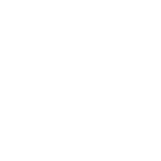 roki219's emblem
