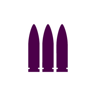 SFG_exe's emblem