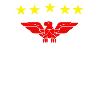 SINFOROSO_THEONE's emblem