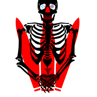 Pizdoliz100's emblem