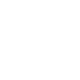 RM4Ci3L's emblem