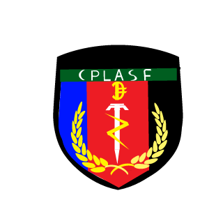 TIF-baldeagle's emblem