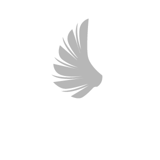 43bogad43's emblem
