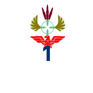 Paranormal232's emblem