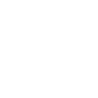 REVZ-l's emblem