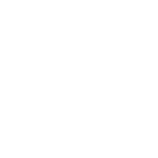Skullzin's emblem
