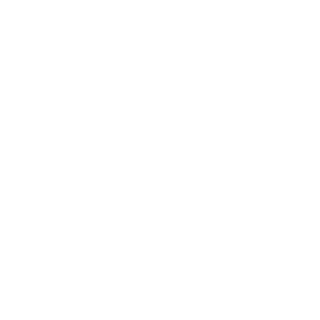 focus_drt's emblem
