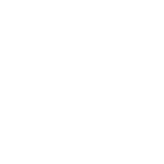 LF87's emblem