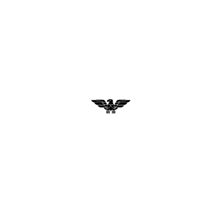 fteam52608's emblem