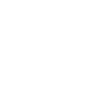 Medvezha's emblem