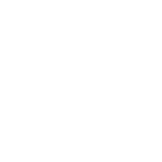 ryuudimm's emblem