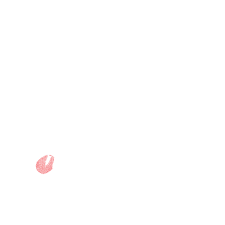 voodoo_destiny's emblem