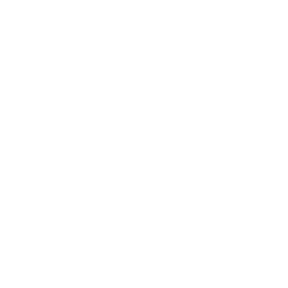SpicySpaceman's emblem