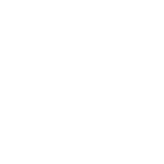 cybog191's emblem