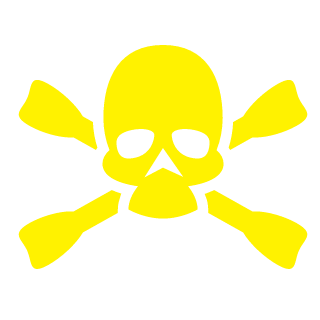 dna2046's emblem