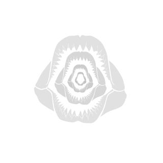 krzok5's emblem