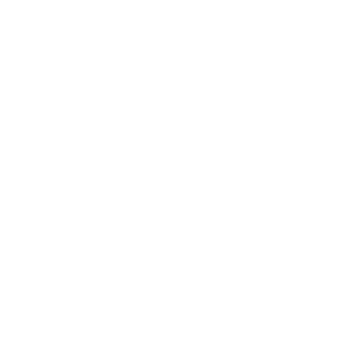__hk_nucleon's emblem