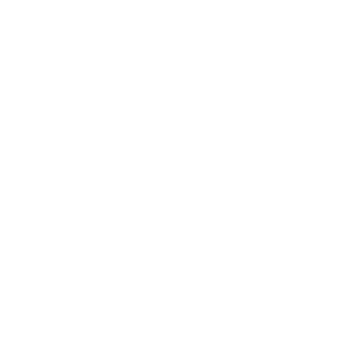 Dr0iT's emblem