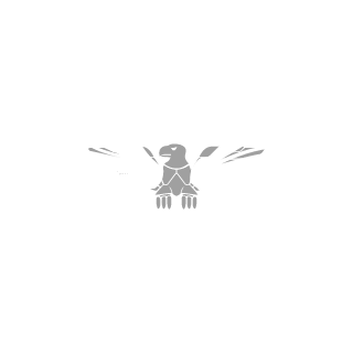 Exreignnn's emblem