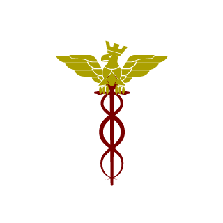 A_Regular_Guy1's emblem